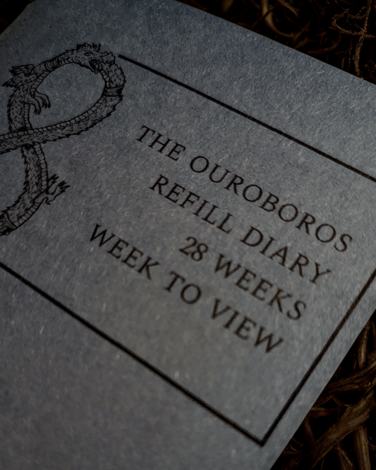 Coming Soon... The Ouroboros Diary Refill