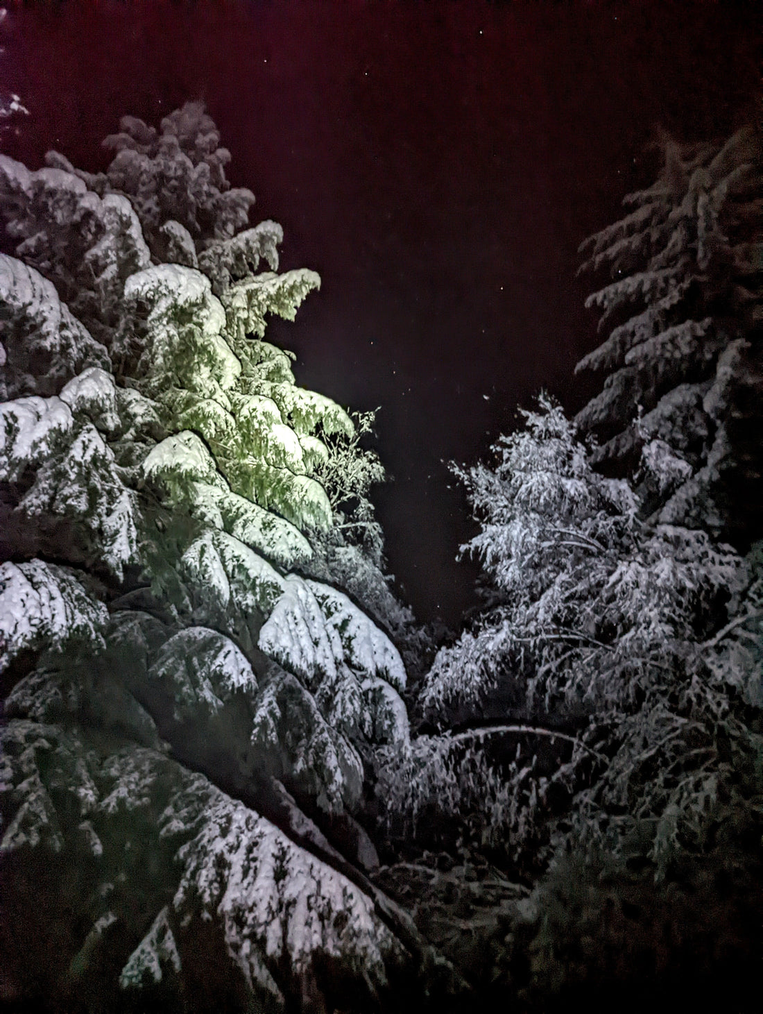 Leather & Sage in Winter || Christmas Orders 2025