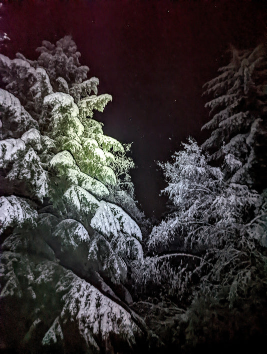 Leather & Sage in Winter || Christmas Orders 2025