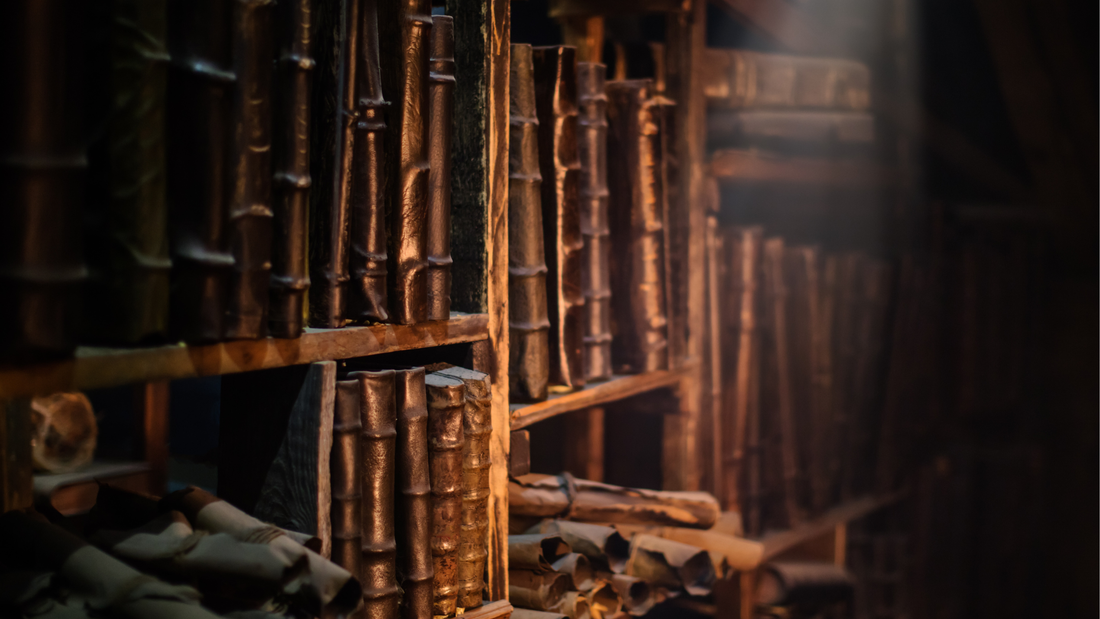 The Traveller & The Library | January 2026