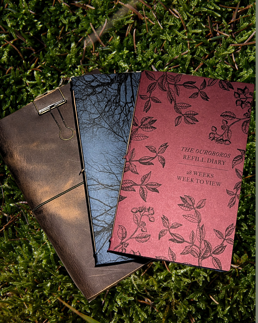 The Ouroboros Diary: Spring Edition