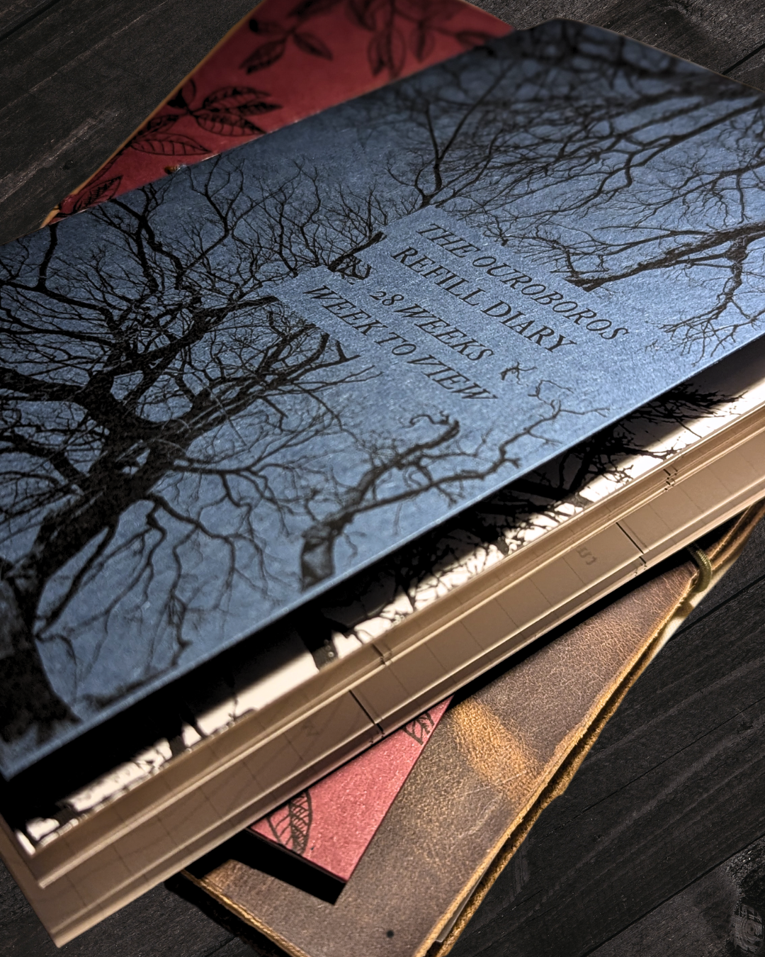 The Ouroboros Diary: Spring Edition