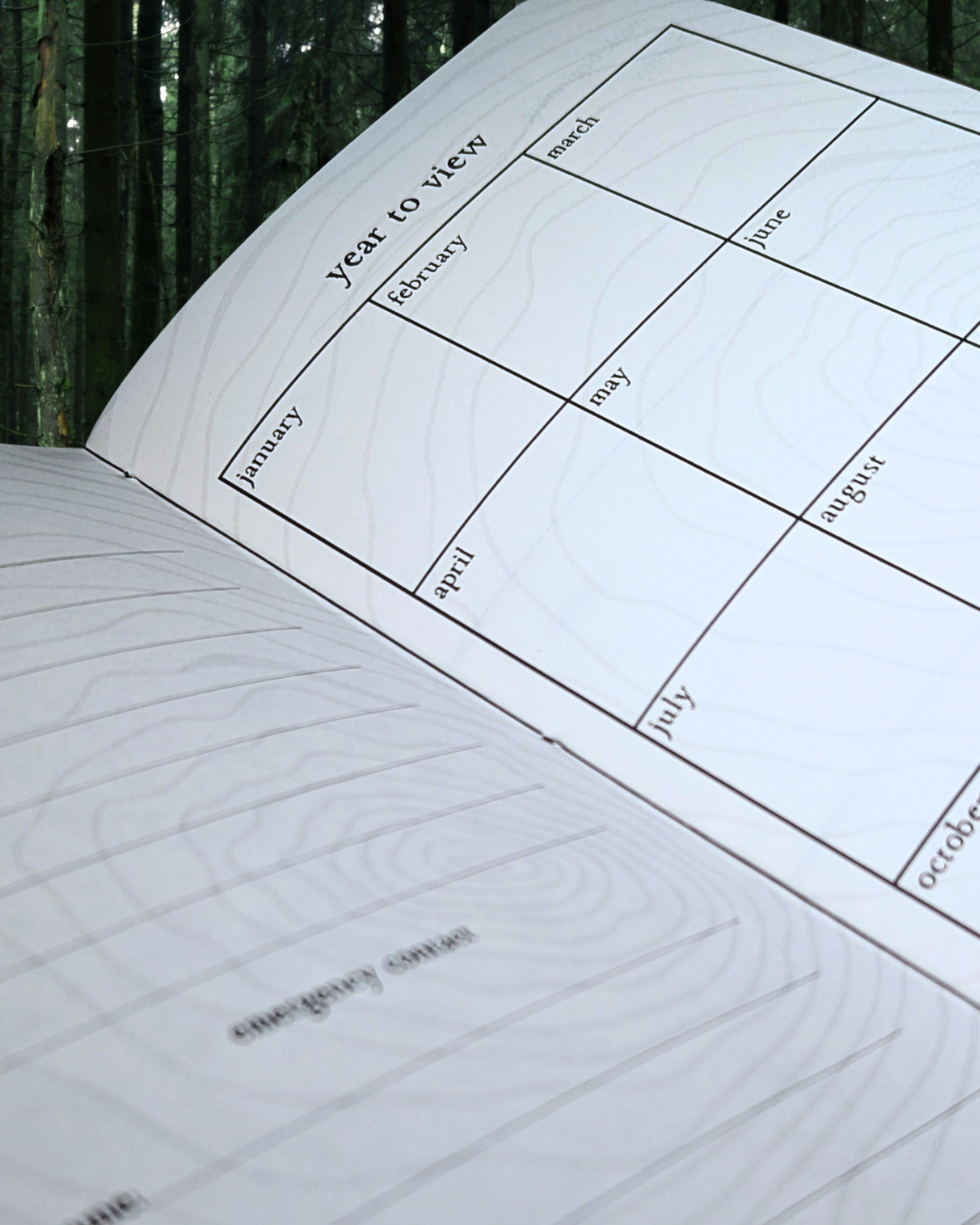 The Ouroboros Diary: Spring Edition