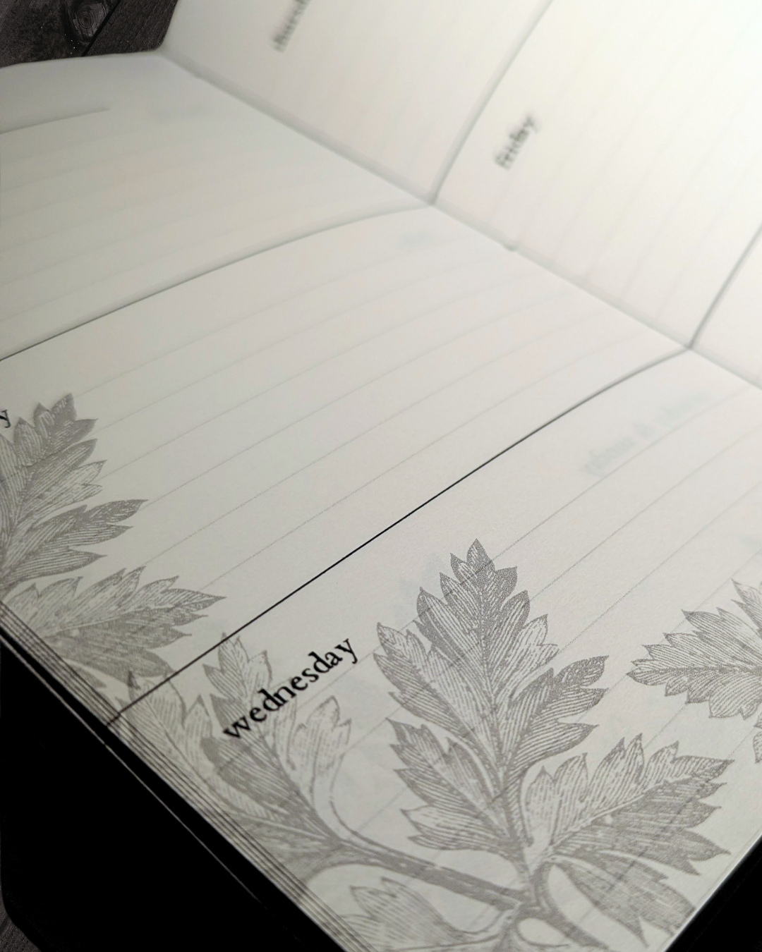 The Ouroboros Diary: Spring Edition