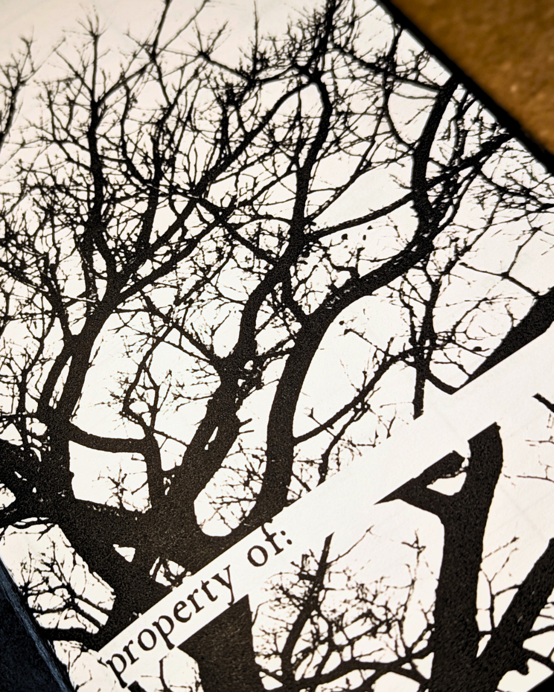 The Ouroboros Diary: Spring Edition