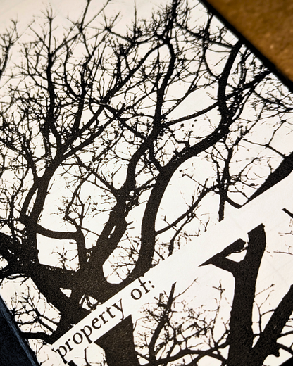 The Ouroboros Diary: Spring Edition