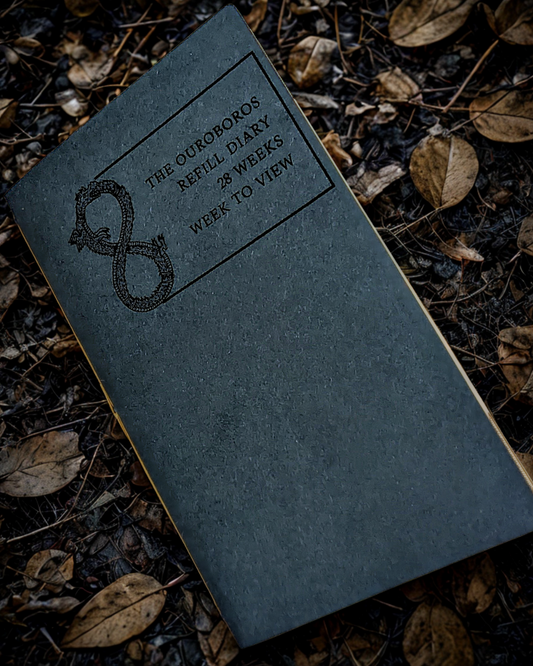 The Ouroboros Diary