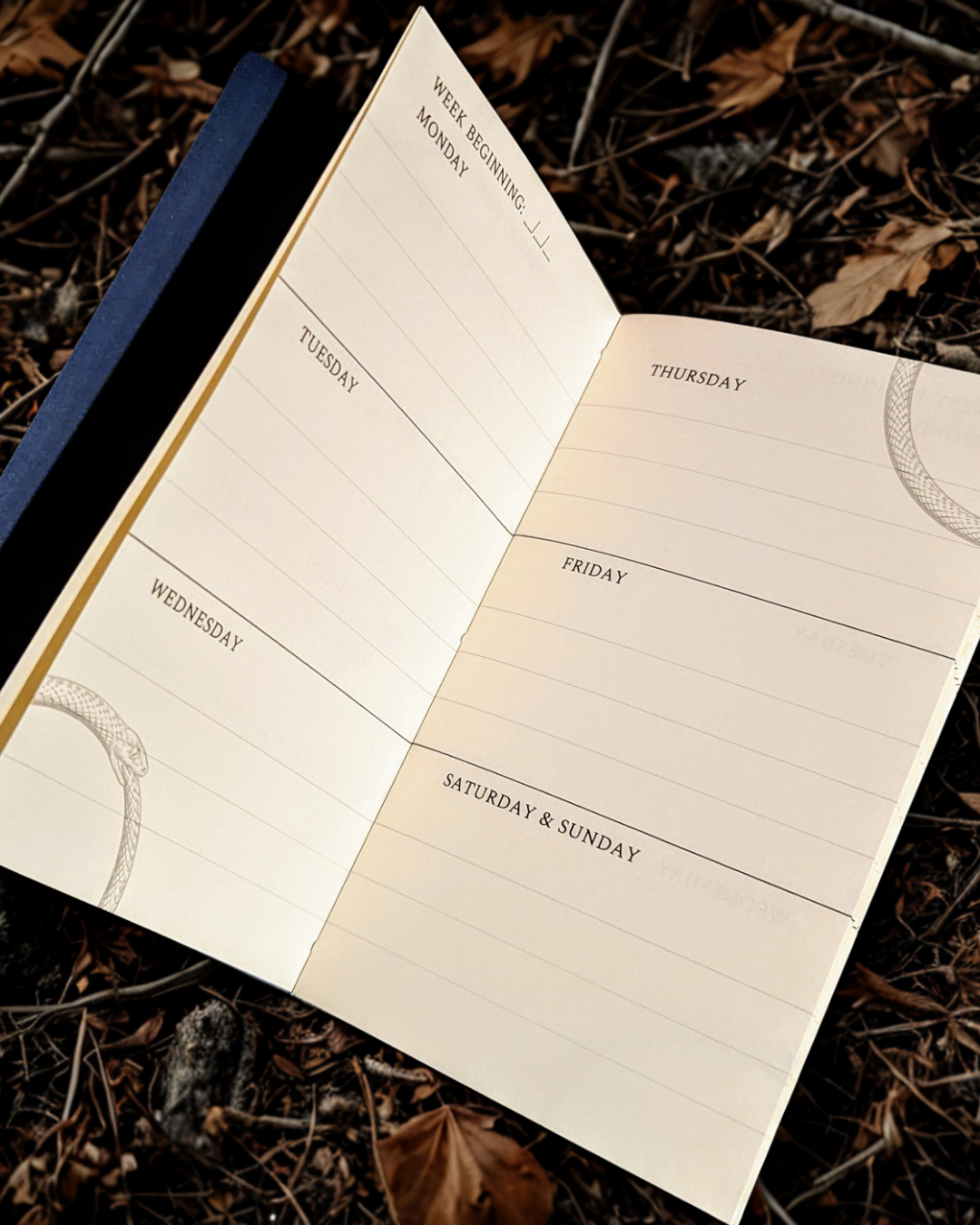 The Ouroboros Diary