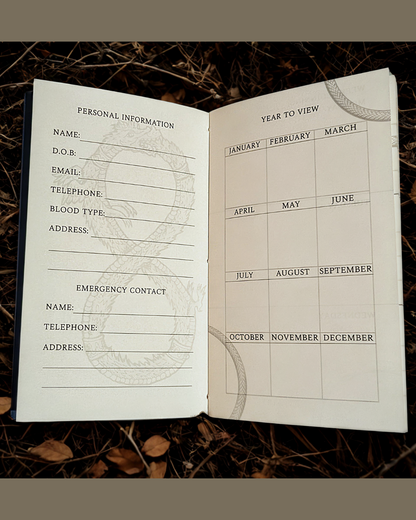 The Ouroboros Diary