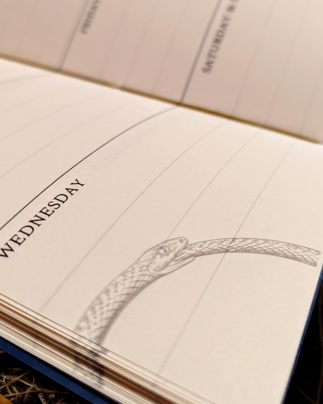 The Ouroboros Diary
