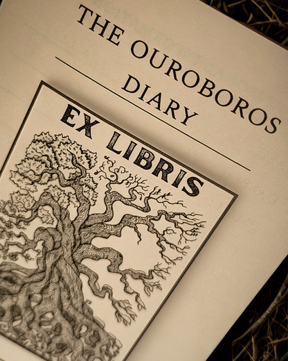 The Ouroboros Diary