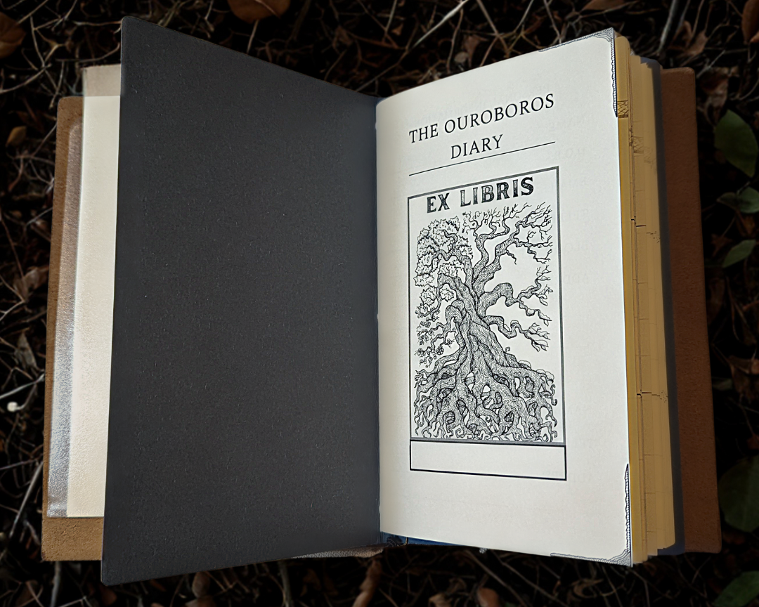 The Ouroboros Diary